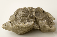 M 00078
<br/>
<br/>
<em></em>